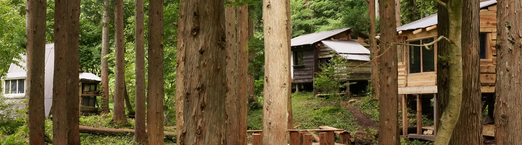 Mountain Dojo